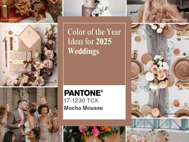 661d11_3810c198115c433ea2130f2464fed61a~mv2